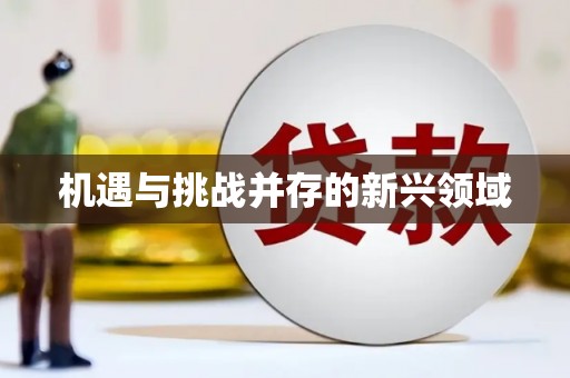 台西机遇与挑战并存的新兴领域