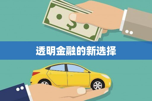 台西透明金融的新选择
