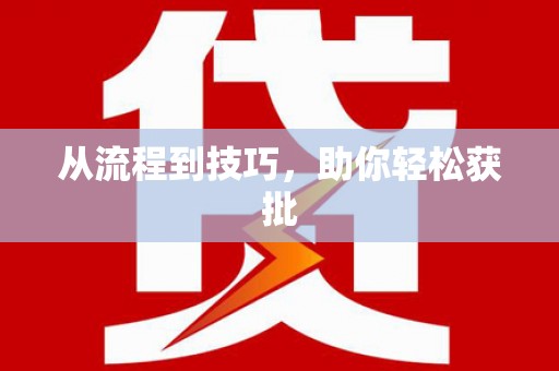 台西从流程到技巧，助你轻松获批