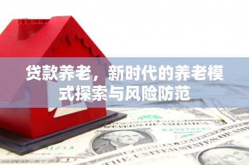 台西贷款养老，新时代的养老模式探索与风险防范