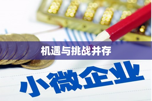 台西机遇与挑战并存