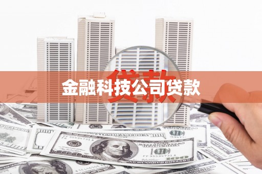台西金融科技公司贷款
