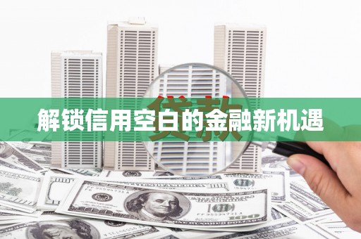 台西解锁信用空白的金融新机遇