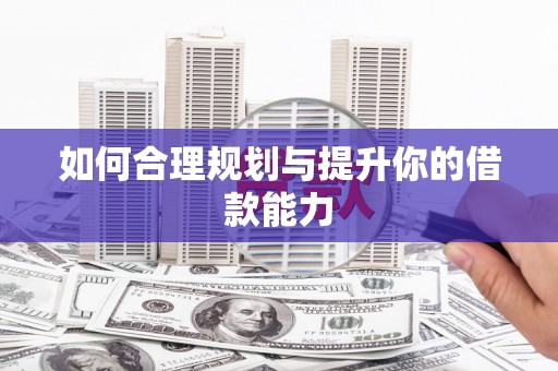 台西如何合理规划与提升你的借款能力