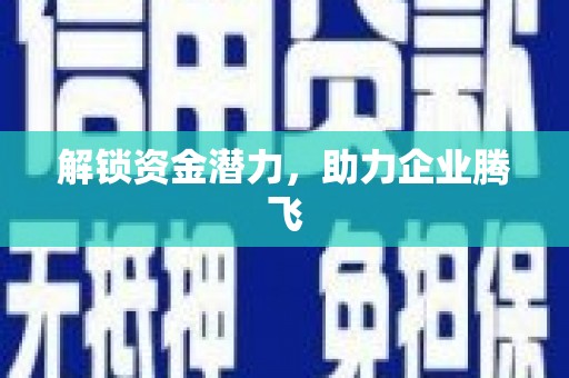 台西解锁资金潜力，助力企业腾飞