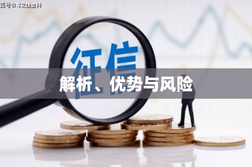 台西解析、优势与风险