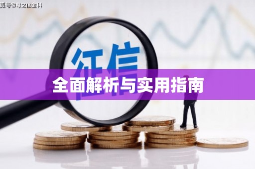 台西全面解析与实用指南