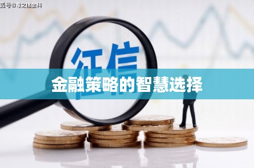 台西金融策略的智慧选择