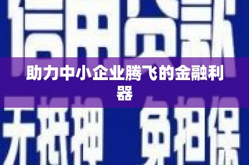 台西助力中小企业腾飞的金融利器