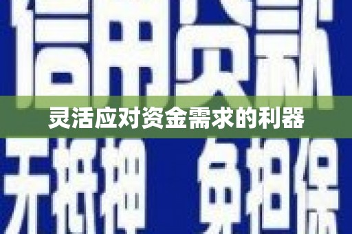 台西灵活应对资金需求的利器