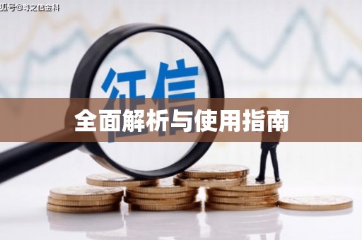 台西全面解析与使用指南