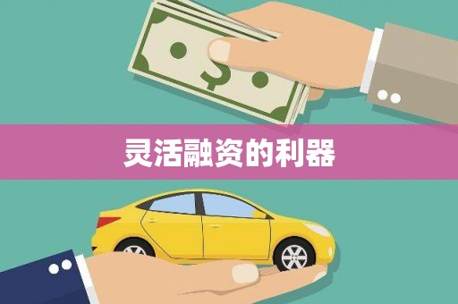 台西灵活融资的利器