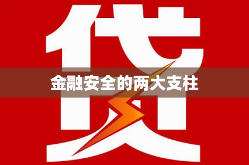 台西金融安全的两大支柱