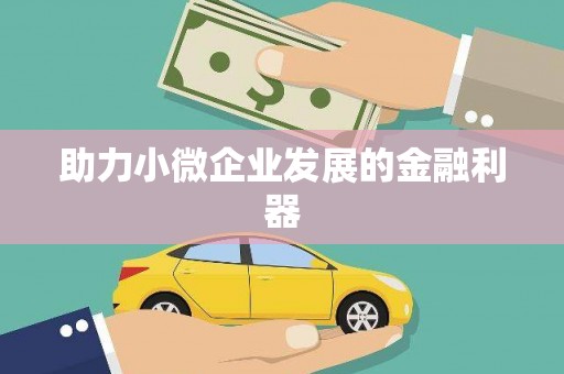 台西助力小微企业发展的金融利器