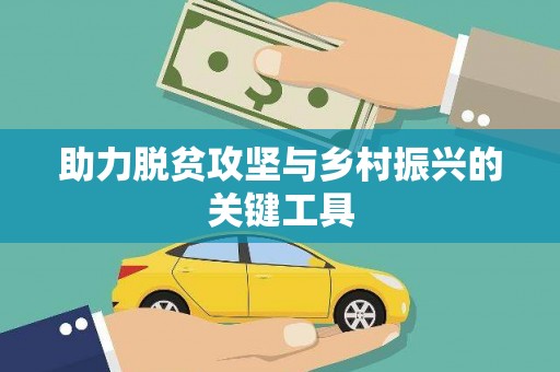 台西助力脱贫攻坚与乡村振兴的关键工具