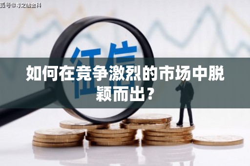台西如何在竞争激烈的市场中脱颖而出？