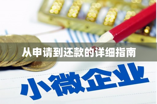 台西从申请到还款的详细指南