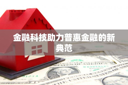 台西金融科技助力普惠金融的新典范