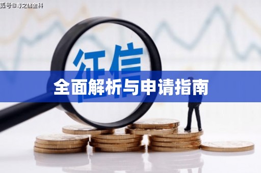 台西全面解析与申请指南
