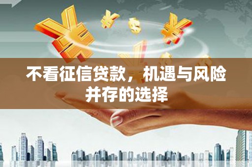 台西不看征信贷款，机遇与风险并存的选择
