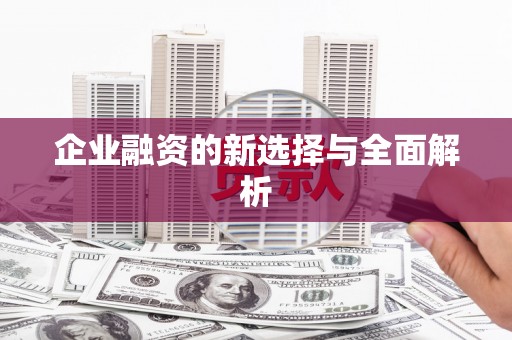 台西企业融资的新选择与全面解析