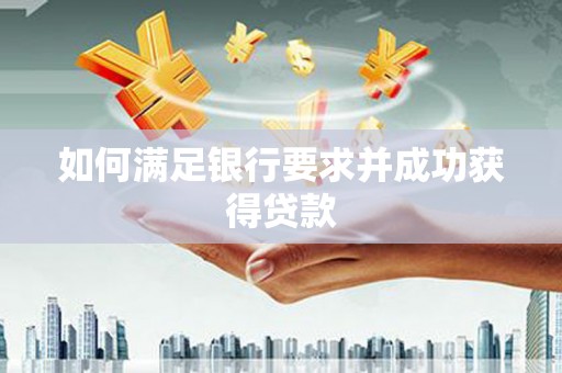 台西如何满足银行要求并成功获得贷款