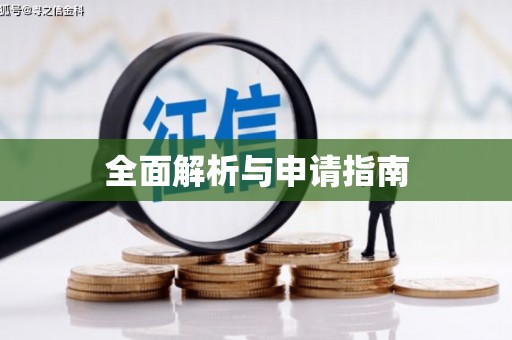 台西全面解析与申请指南