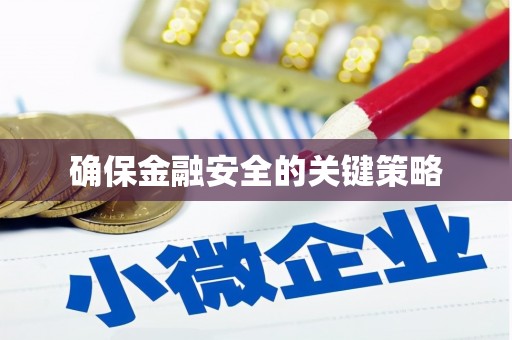 台西确保金融安全的关键策略