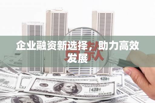 台西企业融资新选择，助力高效发展