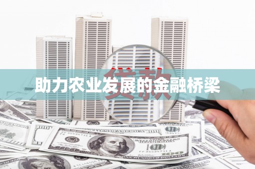 台西助力农业发展的金融桥梁