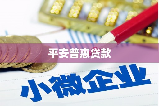 台西平安普惠贷款